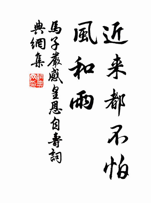 马子严近来都不怕，风和雨书法作品欣赏