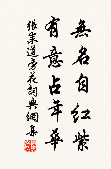 张耒无名自红紫，有意占年华书法作品欣赏