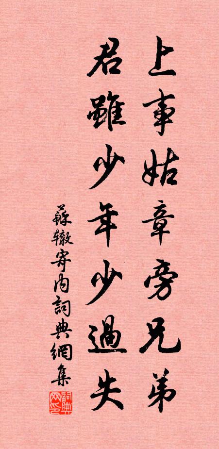 苏辙上事姑章旁兄弟，君虽少年少过失书法作品欣赏