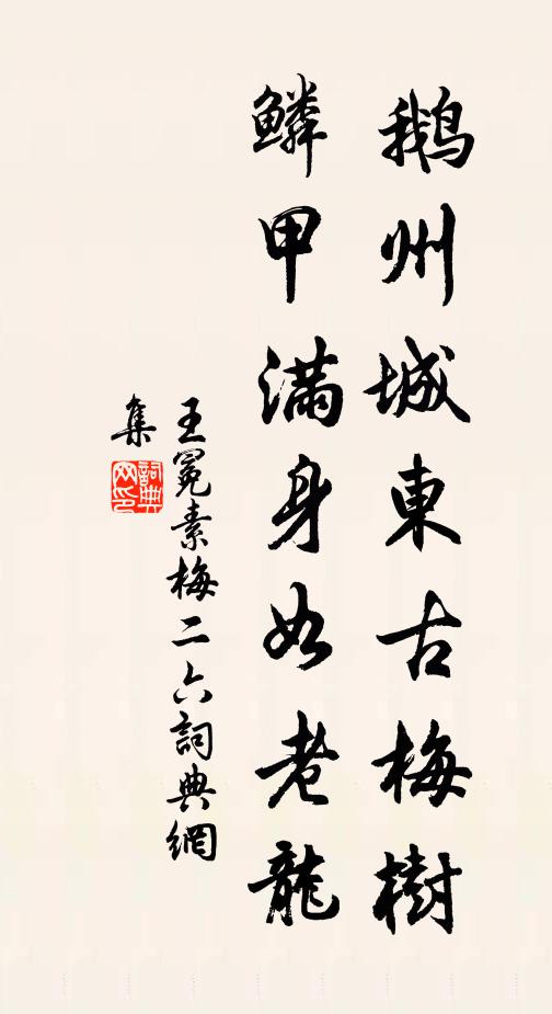 王冕鹅州城东古梅树，鳞甲满身如老龙书法作品欣赏