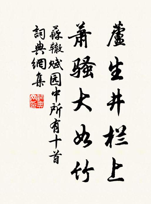 苏辙芦生井栏上，萧骚大如竹书法作品欣赏