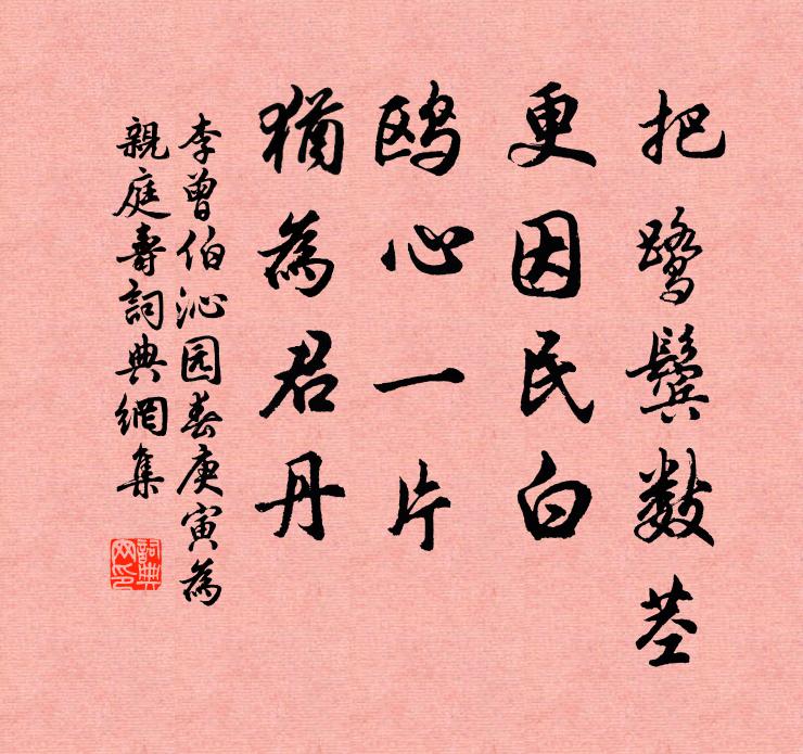 李曾伯把鹭鬓数茎，更因民白，鸥心一片，犹为君丹书法作品欣赏
