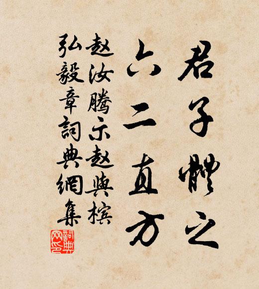 赵汝腾君子体之，六二直方书法作品欣赏