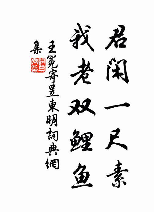 王冕君闲一尺素，我老双鲤鱼书法作品欣赏