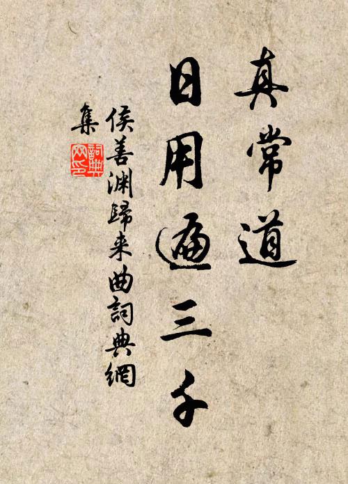 侯善渊真常道，日用遍三千书法作品欣赏