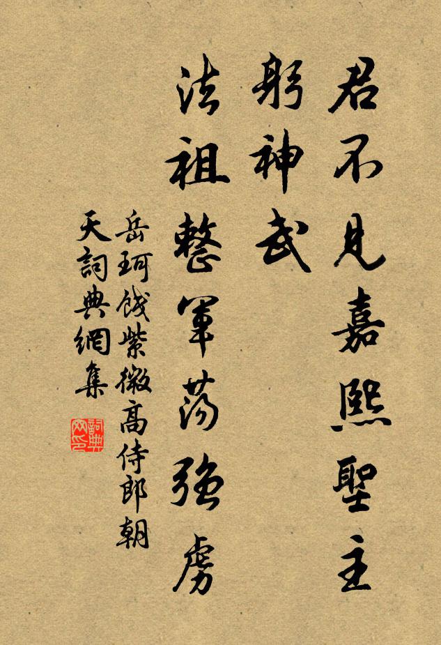 岳珂君不见嘉熙圣主躬神武，法祖整军荡强虏书法作品欣赏