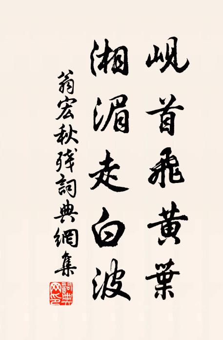 翁宏岘首飞黄叶，湘湄走白波书法作品欣赏