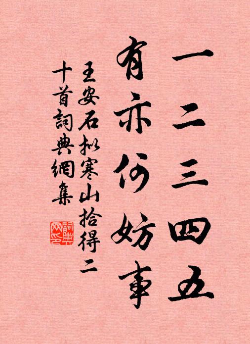 王安石一二三四五，有亦何妨事书法作品欣赏