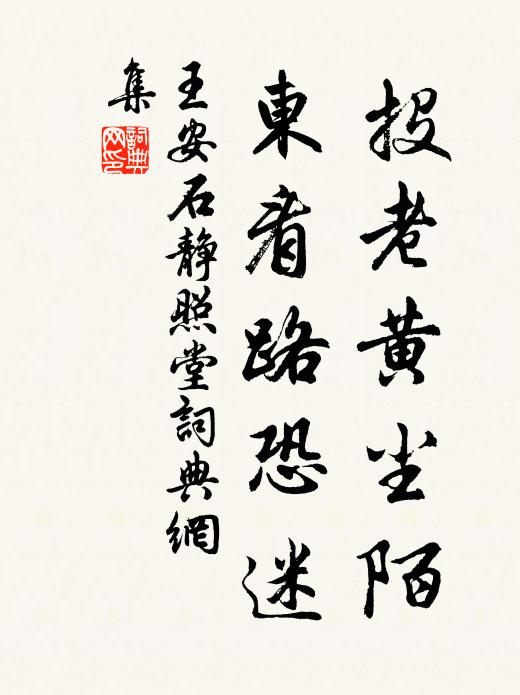 王安石投老黄尘陌，东看路恐迷书法作品欣赏
