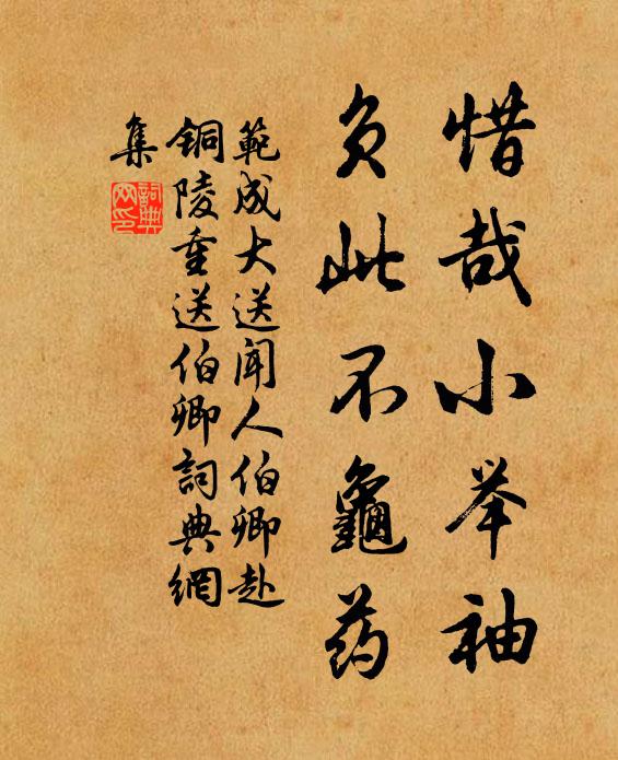 范成大惜哉小举袖,负此不龟药书法作品欣赏