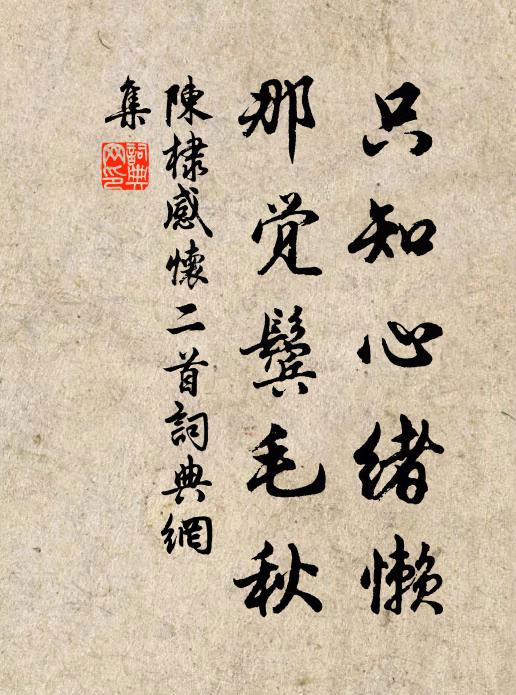 陈棣只知心绪懒，那觉鬓毛秋书法作品欣赏