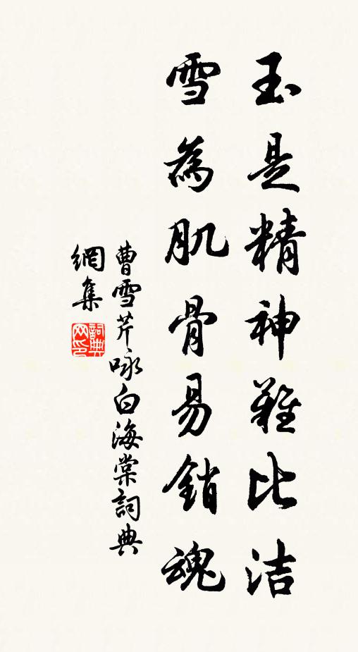 曹雪芹玉是精神难比洁，雪为肌骨易销魂书法作品欣赏