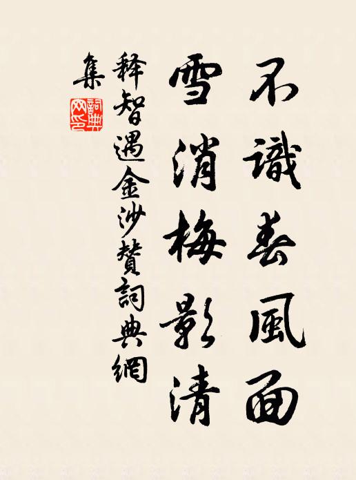 释智遇不识春风面，雪消梅影清书法作品欣赏