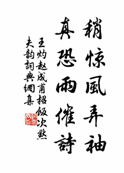 王灼稍惊风弄袖，真恐雨催诗书法作品欣赏