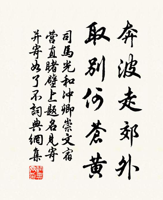 司马光奔波走郊外,取别何苍黄书法作品欣赏