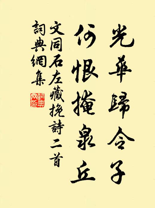 文同光华归令子，何恨掩泉丘书法作品欣赏