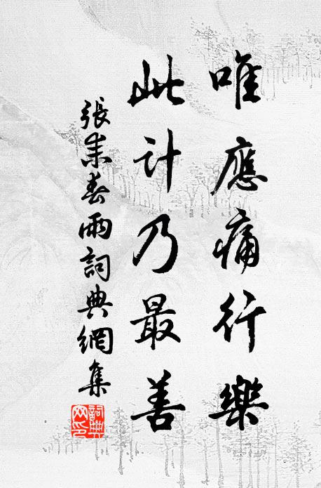 张耒唯应痛行乐，此计乃最善书法作品欣赏
