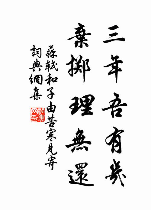 苏轼三年吾有几，弃掷理无还书法作品欣赏