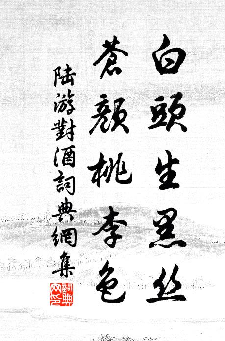 陆游白头生黑丝，苍颜桃李色书法作品欣赏