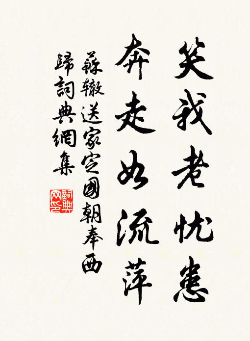 苏辙笑我老忧患，奔走如流萍书法作品欣赏