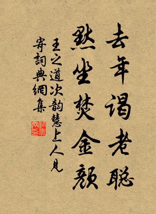 王之道去年谒老聪，默坐焚金颜书法作品欣赏