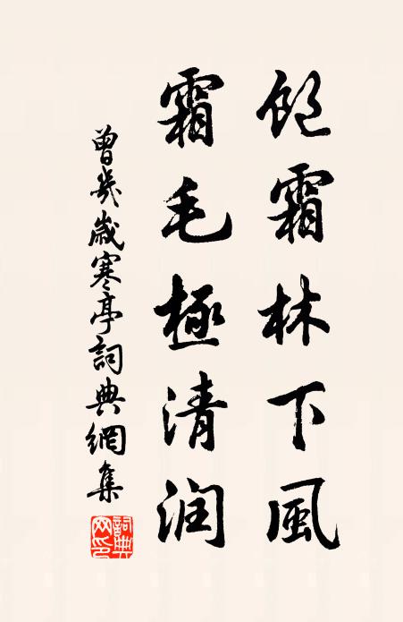曾几饱霜林下风，霜毛极清润书法作品欣赏