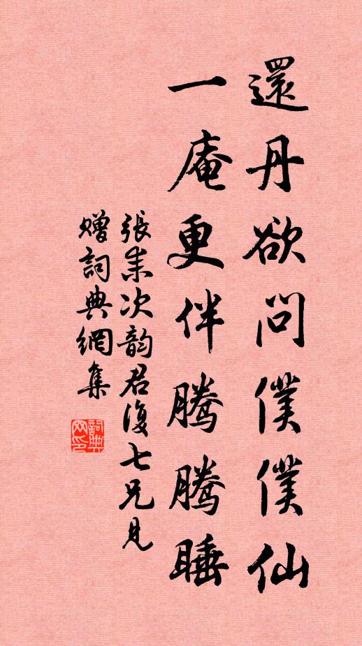 张耒还丹欲问仆仆仙，一庵更伴腾腾睡书法作品欣赏