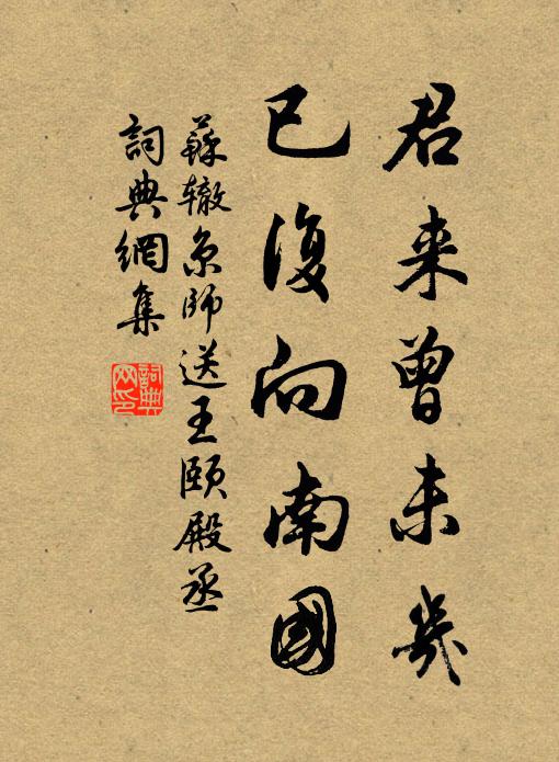 苏辙君来曾未几，已复向南国书法作品欣赏