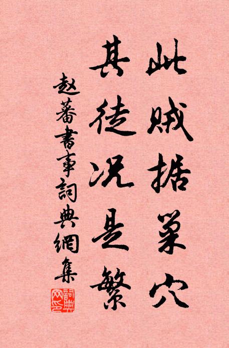 赵蕃此贼据巢穴，其徒况是繁书法作品欣赏