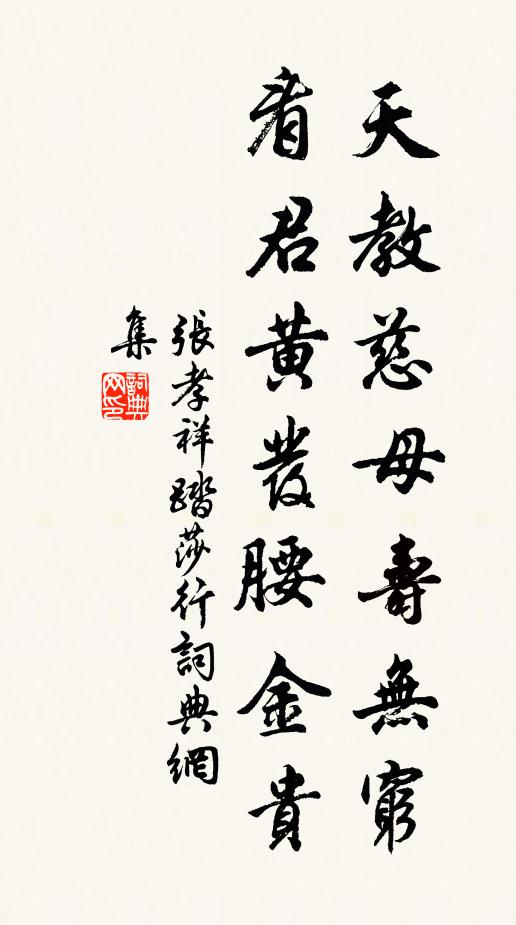 张孝祥天教慈母寿无穷，看君黄发腰金贵书法作品欣赏