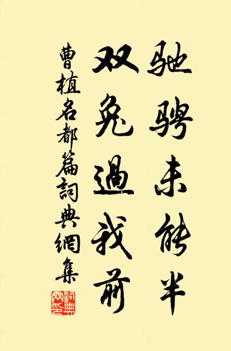 曹植驰骋未能半,双兔过我前书法作品欣赏