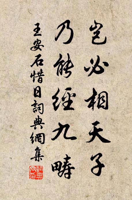 王安石岂必相天子，乃能经九畴书法作品欣赏