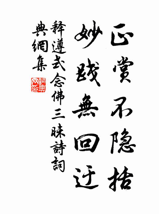 释遵式正赏不隐括，妙践无回迂书法作品欣赏