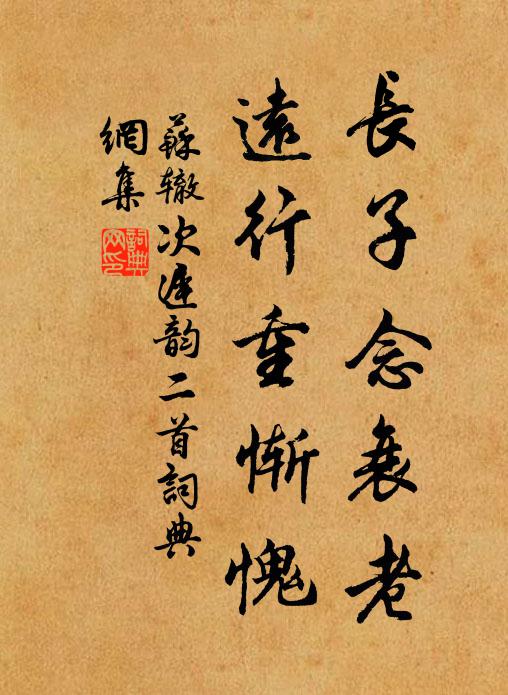 苏辙长子念衰老，远行重惭愧书法作品欣赏