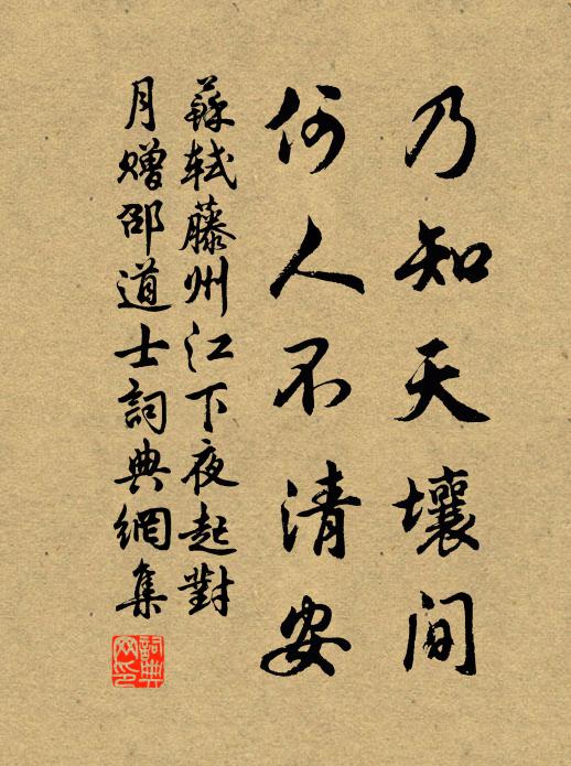 苏轼乃知天壤间，何人不清安书法作品欣赏