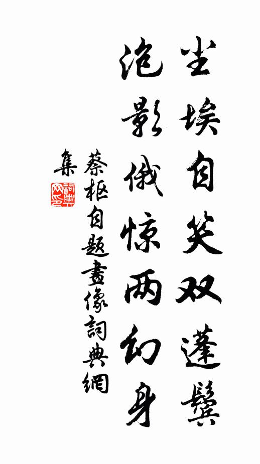 蔡枢尘埃自笑双蓬鬓，泡影俄惊两幻身书法作品欣赏