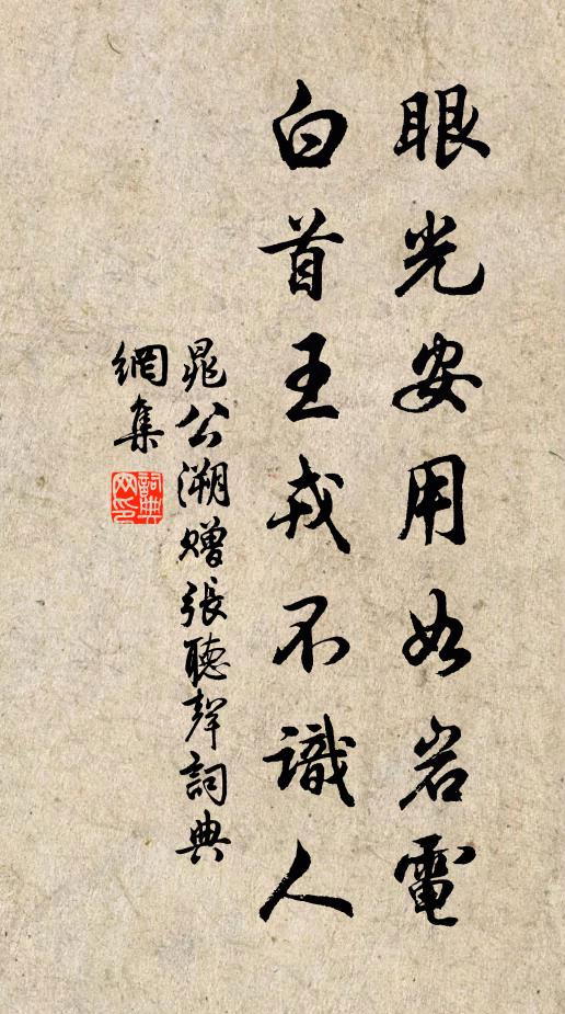 晁公溯眼光安用如岩电，白首王戎不识人书法作品欣赏