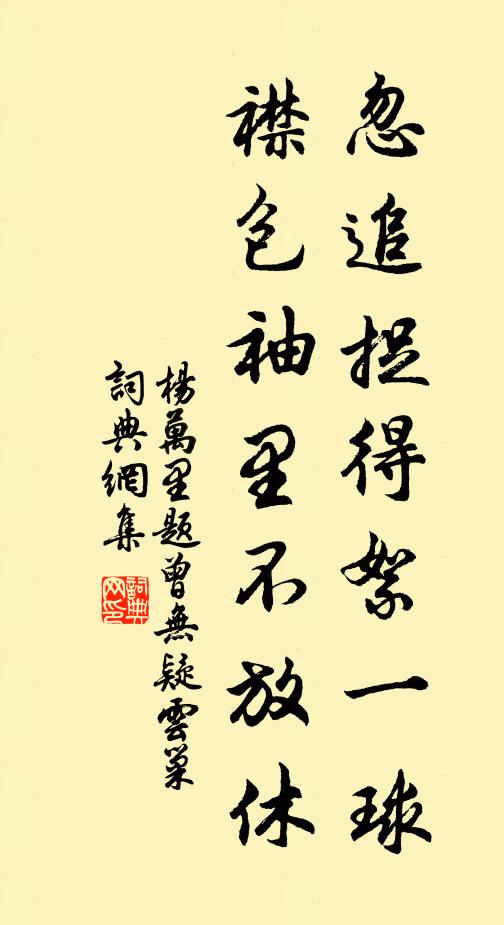 杨万里忽追捉得絮一球，襟包袖里不放休书法作品欣赏