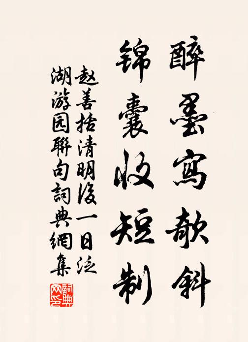 赵善括醉墨写欹斜，锦囊收短制书法作品欣赏