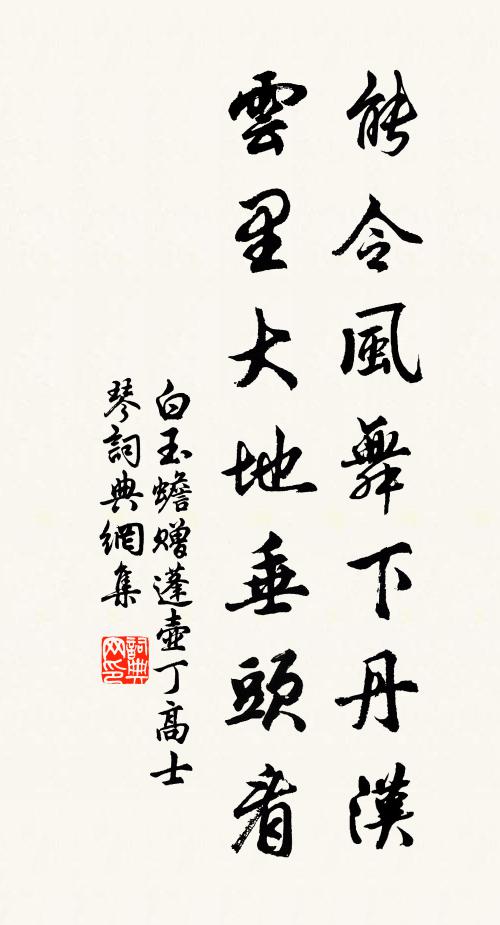 白玉蟾能令风舞下丹汉，云里大地垂头看书法作品欣赏