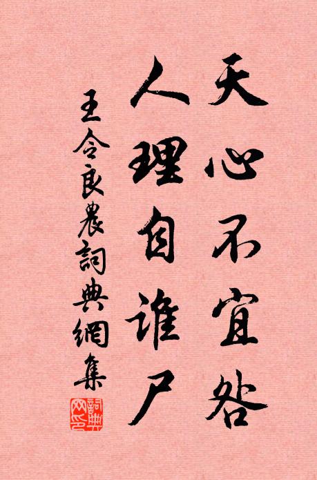 王令天心不宜咎，人理自谁尸书法作品欣赏