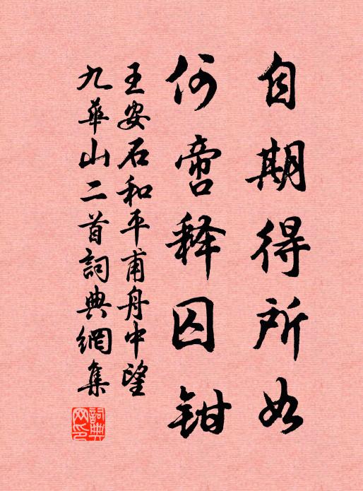 王安石自期得所如，何啻释囚钳书法作品欣赏