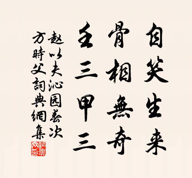 赵以夫自笑生来，骨相无奇，壬三甲三书法作品欣赏