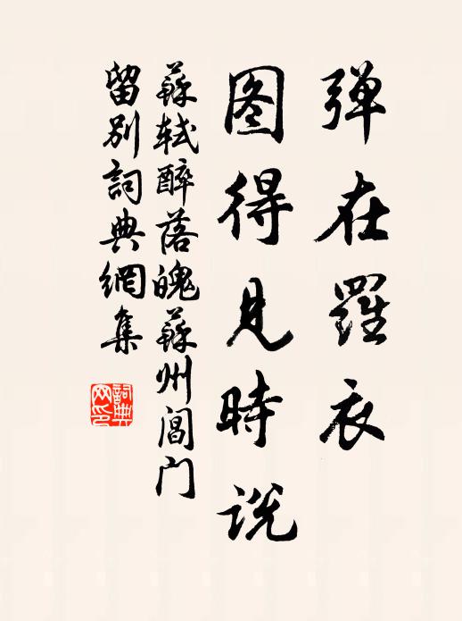 苏轼弹在罗衣，图得见时说书法作品欣赏