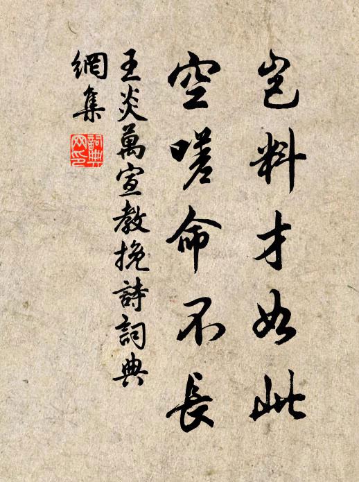 王炎岂料才如此，空嗟命不长书法作品欣赏