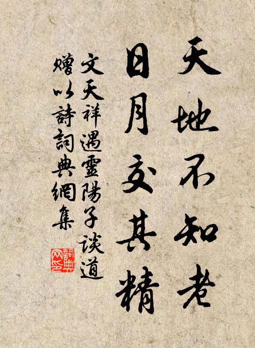文天祥天地不知老，日月交其精书法作品欣赏