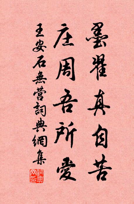 王安石墨翟真自苦，庄周吾所爱书法作品欣赏