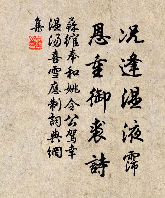 苏绾况逢温液霈，恩重御裘诗书法作品欣赏