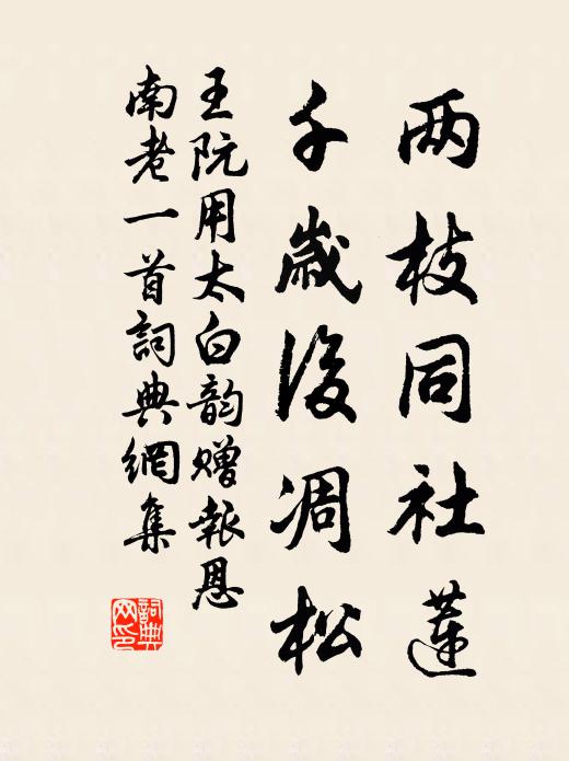 王阮两枝同社莲，千岁后凋松书法作品欣赏
