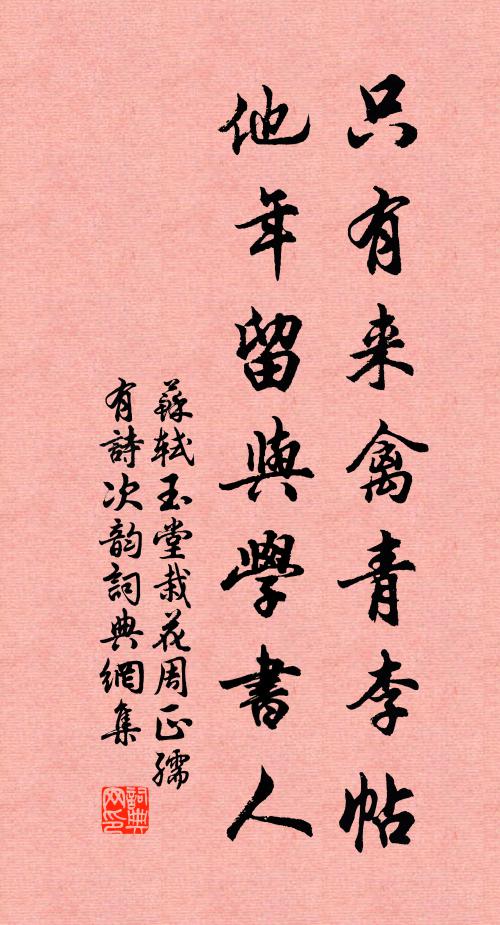 苏轼只有来禽青李帖，他年留与学书人书法作品欣赏